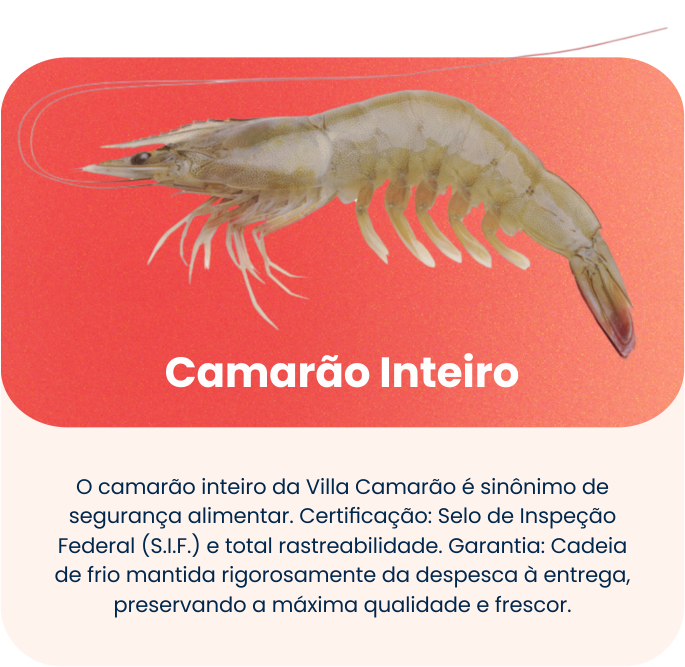 CAMARAO - INTEIRO1
